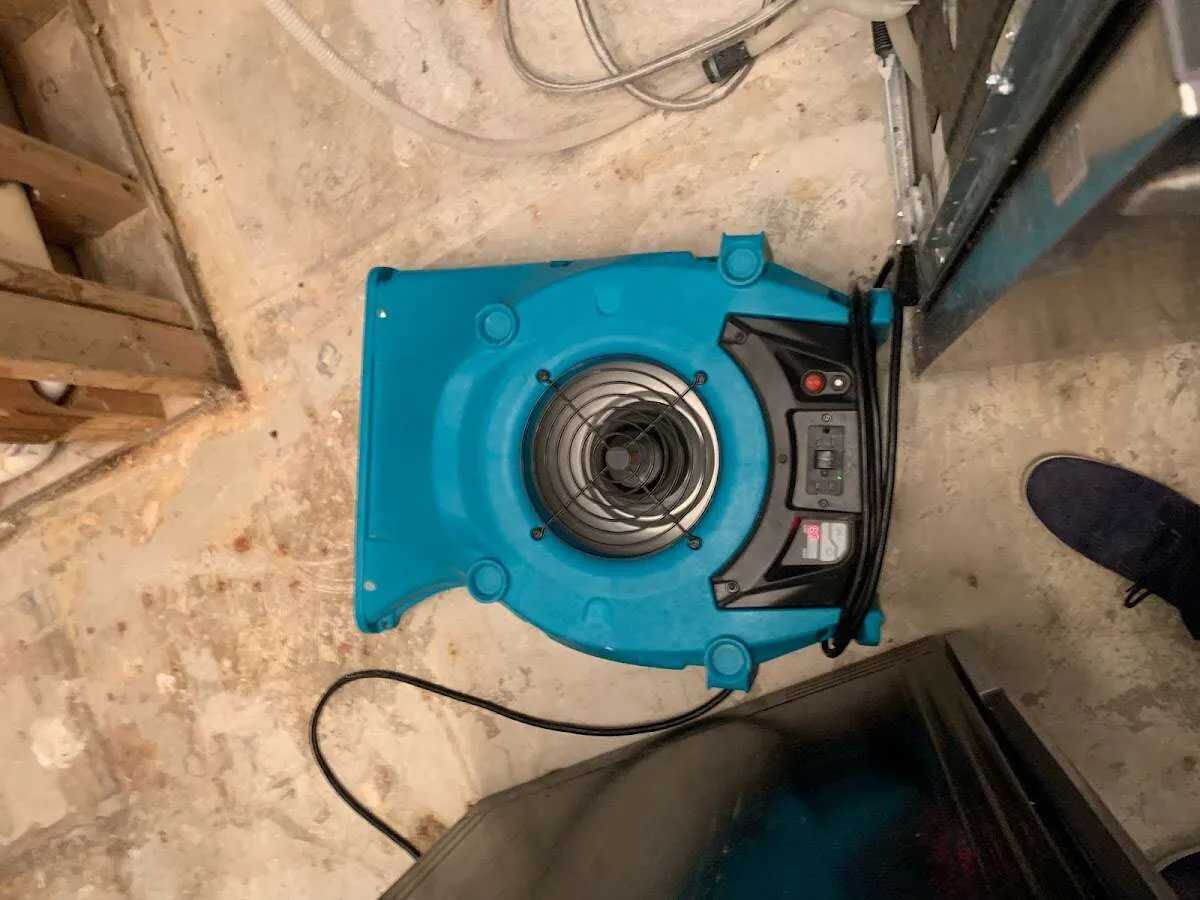 Air mover drying equipment for Mold Remediation & Removal in Wappingers Falls